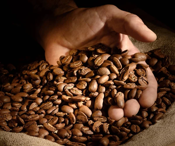 Grãos de café na mão sobre fundo escuro. — Fotografia de Stock