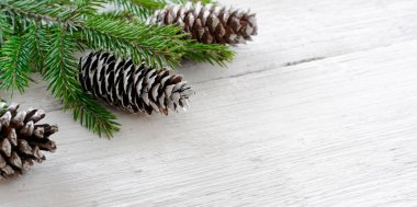 Noel köknar ağaç dalları ve çam kozalakları arka plan