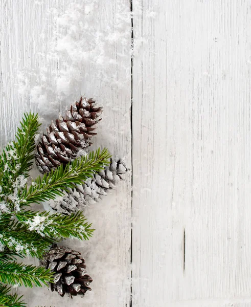 Christmas fir branch with cones on old white wooden background — Stock Photo, Image
