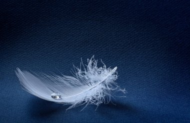 Şeffaf iş kavramı