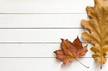 Beyaz ahşap zemin üzerinde sonbahar yaprakları