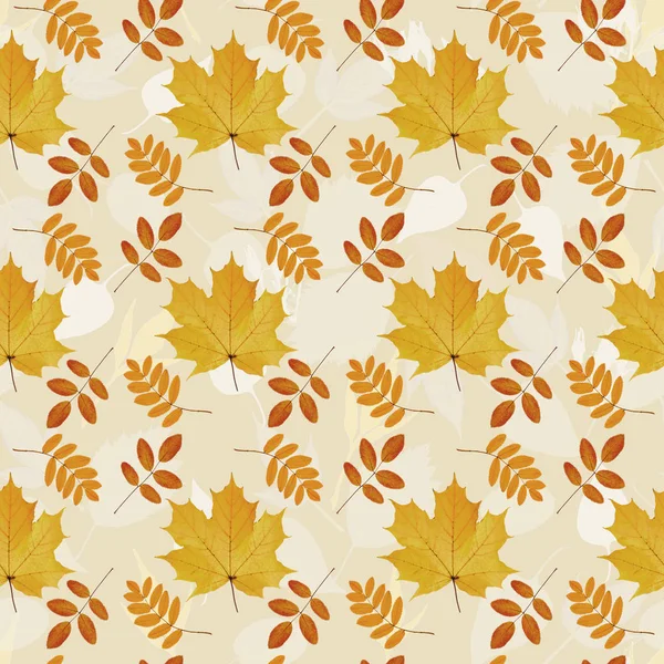 Autumn natural leaves seamless pattern.