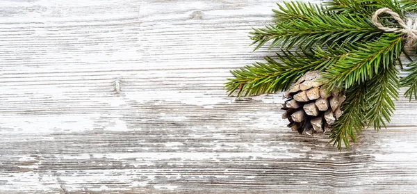 Fir branch and pine cone — Stock Photo, Image