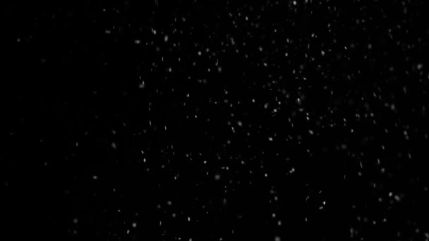 Caída de copos de nieve en negro — Vídeo de stock