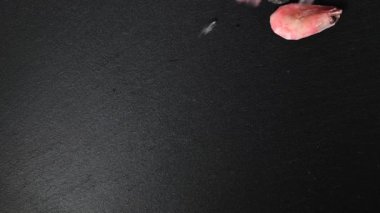 Taze haşlanmış karides düşen buz dondurulmuş