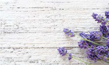 Beyaz ahşap zemin üzerinde Lavanta