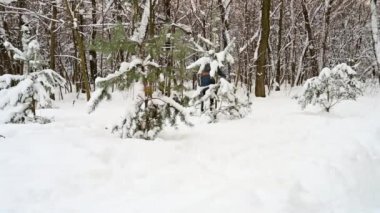 İnsanlar Kayak Kış Orman.