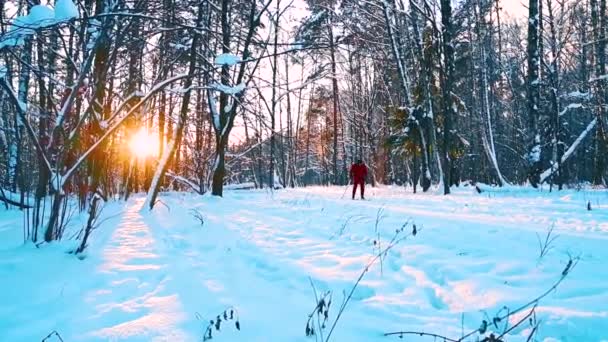 Gün batımında kayaklı koşu — Stok video