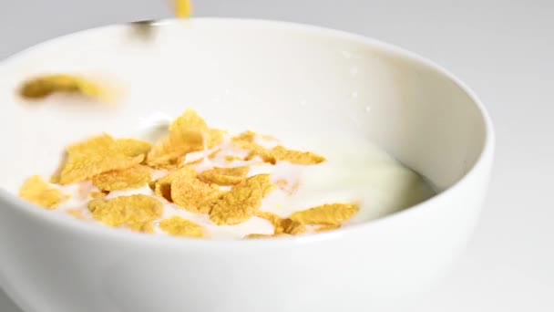 Flocos Milho Caindo Uma Tigela Cerâmica Branca Com Leite Alimentação — Vídeo de Stock