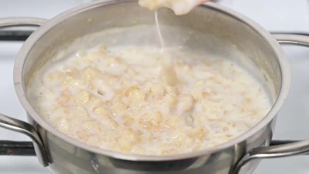 木製のスプーンでお粥を攪拌します ステンレス スチール製秤量皿にミルクでお粥を作ってください — ストック動画