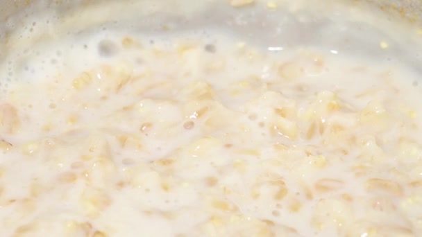 Pap Met Melk Close Koken — Stockvideo