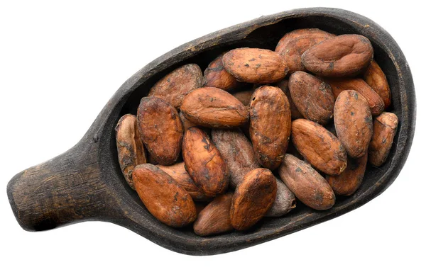 Frijoles de cacao en un tazón de madera viejo aislado en blanco . —  Fotos de Stock