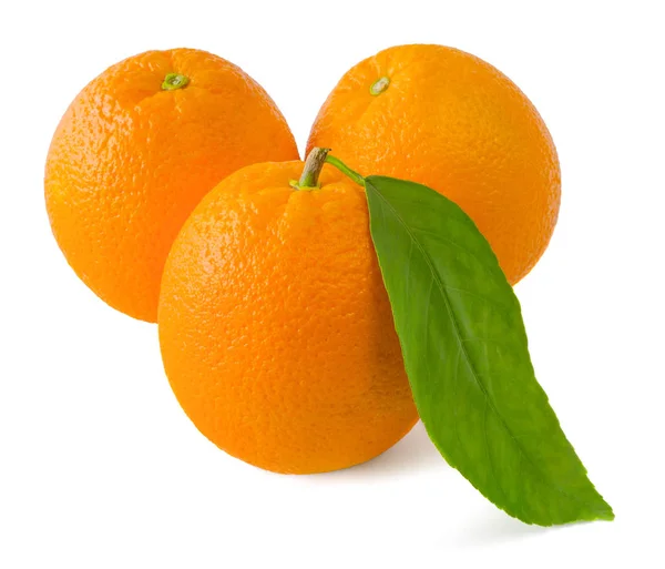Három narancs fehér alapon — Stock Fotó
