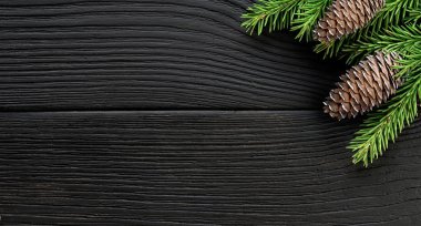 Noel ağacı dalları siyah ahşap bir arka planda koni ile.