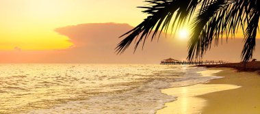 Tropik tatil plajda Golden Sunset