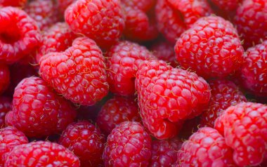 Ahududu arkaplanı. Taze organik böğürtlenler.