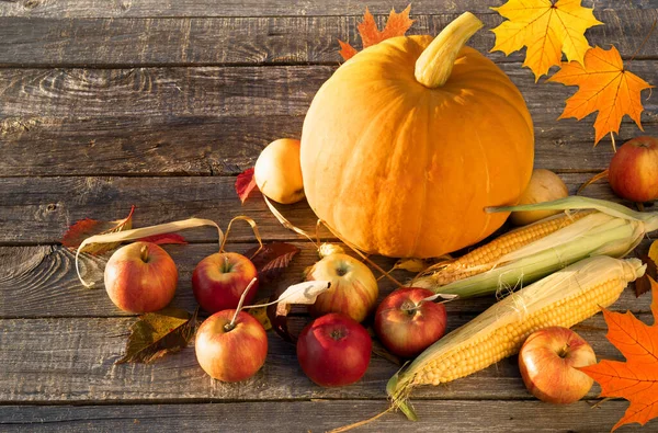 Sonbahar kompozisyonu Ahşap masada elmalı balkabağı mısırı