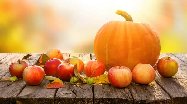 Őszi betakarítási háttér tök és alma — Stock Fotó