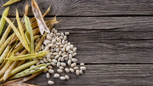 Suchý hrnec a bílá semena fazolí — Stock fotografie