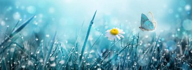 Papatya çiçeği ve çayırda uçan kelebek..