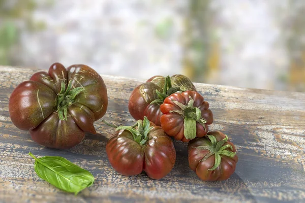 group of Crimea black tomatoes from Crimea on old wooden board on olq blury wall background,