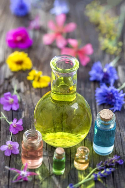 Aromaterapia. aceites esenciales y flores y hierbas medicinales — Foto de Stock