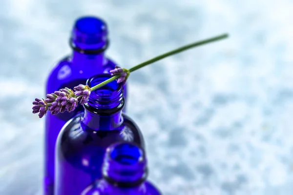 Essential oil and lavender flowers blue bpttle — Stock Photo, Image