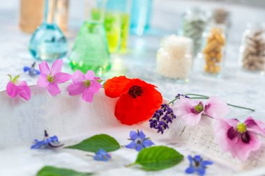 Kuru doğal otlar ile bitkisel ilaç hapları Bitkisel ilaç ve diyet takviyeleri kavramı