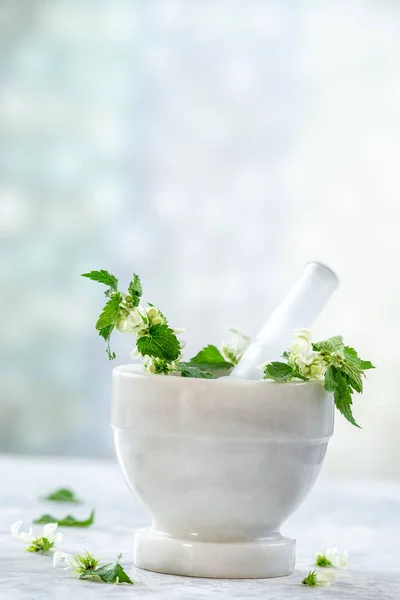 Fresh nettle in a morta on a light color background. — Stock Photo, Image