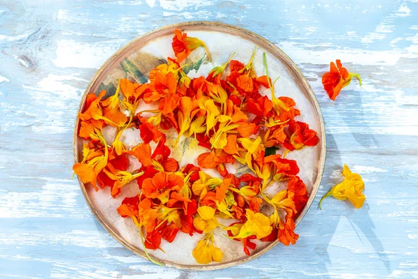 Nasturtiums kwiat jadalne kolorowe w drewnianej tacy na stare drewniane farby niebieskie tło — Zdjęcie stockowe