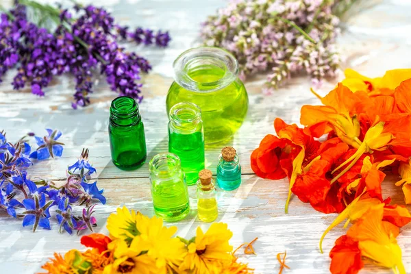 Травяная эфирное масло для кожи бутылка с растениями и травами, альтернативная медицина органическая кожа — стоковое фото