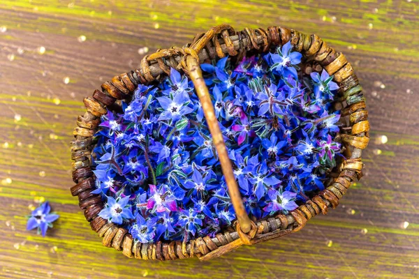 Färska Gurkblomsblommor i en korg på ljus trä bakgrund — Stockfoto