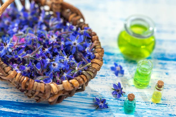 Frische Borretsch-Blumen in einem Korb auf hellem Holzgrund — Stockfoto