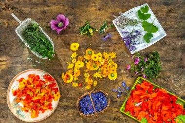 Bitkisel esansiyel yağı cilt bakımı şişeyle bitkiler ve otlar, alternatif tıp organik Cilt Bakımı