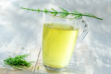 Alternatif Tıp. Bitkisel Tedavi. Cam bardakta at kuyruğu infüzyonu. gri arka plan