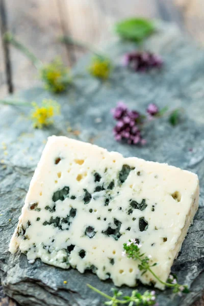 Französischer Blauschimmelkäse Roquefort, hergestellt aus Schafsmilch in den Höhlen von Roquefort-sur-Soulzon mit Trauben auf grauem Stein — Stockfoto