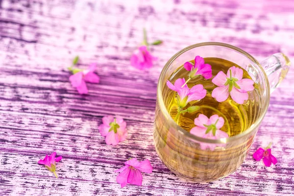 Uma xícara de chá de malva com flor fresca planta sylvestris malva contra fundo de madeira rosa — Fotografia de Stock