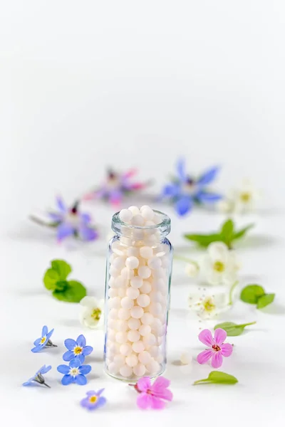 Homeopatía. Extractos de hierbas en botellas pequeñas. Enfoque selectivo. naturaleza . —  Fotos de Stock