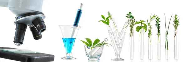 Panoramatický obraz -Laboratorní sklo s různými rostlinami a mikroskopem na stole proti bílému pozadí, prostor pro text. Výzkum chemie — Stock fotografie
