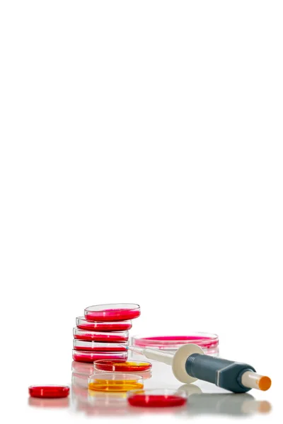 Pipeta a Petriho miska s červenou tekutinou, na bílém podkladu — Stock fotografie