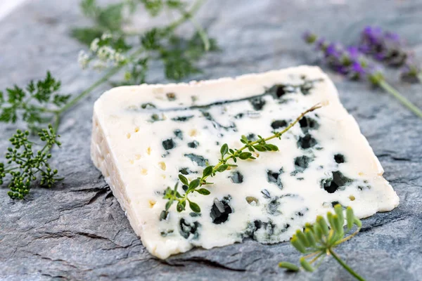 Französische Käsekollektion, Stück Roquefort, Schafsmilch-Weichschimmelkäse aus Südfrankreich. — Stockfoto