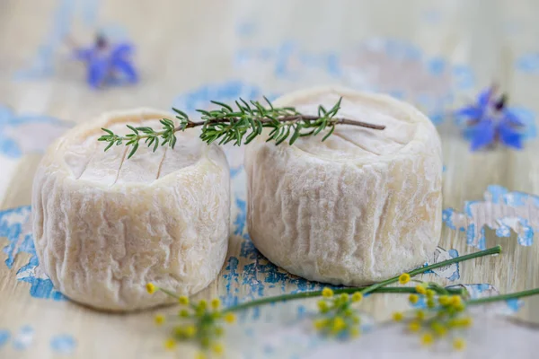 Kozí sýr crottin de chavignol. Specialita, mléčné výrobky na dřevěném pozadí — Stock fotografie