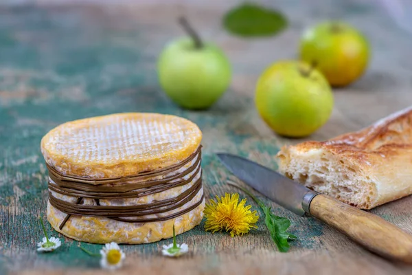 Livarot Cheese traditional Cheese from Normandy France. Colonel, washed — Stock Photo, Image