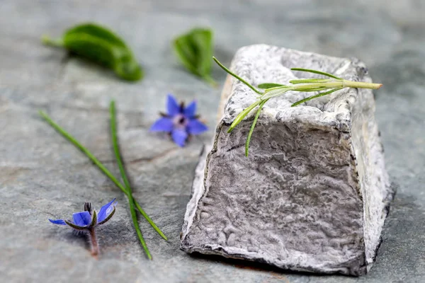 Пепел Козий сыр со свежими ароматическими травами на деревянном фоне — стоковое фото