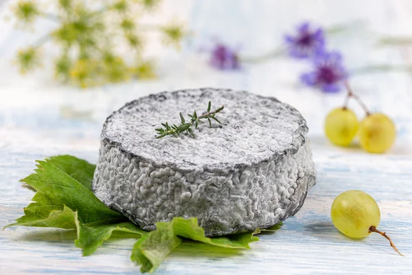 Kozí sýr s čerstvými aromatickými bylinkami na dřevěném pozadí — Stock fotografie