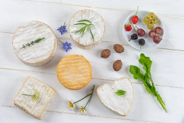 Auswahl verschiedener Käsesorten. Frischkäse mit aromatischen Kräutern und Früchten — Stockfoto