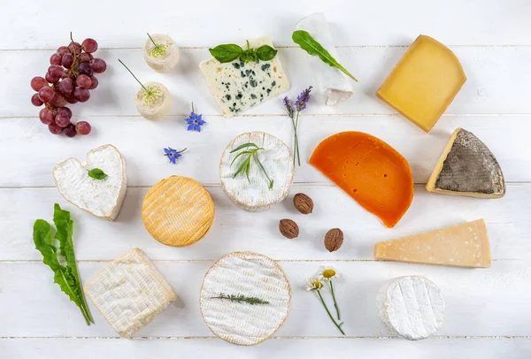 Selección de diferentes tipos de queso. queso fresco con hierbas aromáticas y frutas —  Fotos de Stock