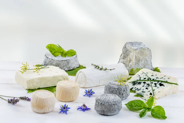 Seleção de diferentes tipos de queijo. queijo fresco com ervas aromáticas e frutas — Fotografia de Stock