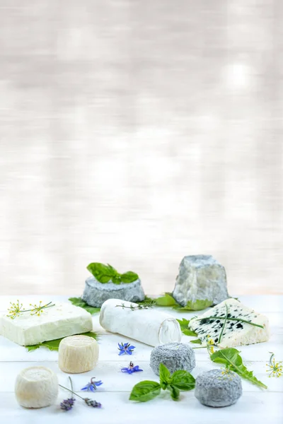 Selection of different types of cheese. fresh cheese prentented with aromatic herbs and fruits — Stock Photo, Image