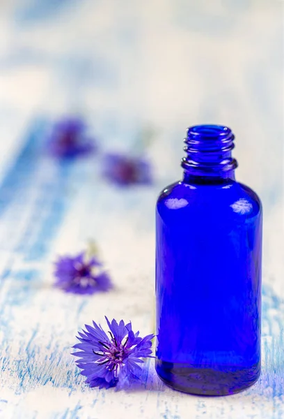 Frascos de óleo essencial em flores de milho medicinal Centaurea cyanus solteiros botão flores e ervas fundo, — Fotografia de Stock